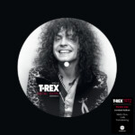 T Rex - Metal Guru