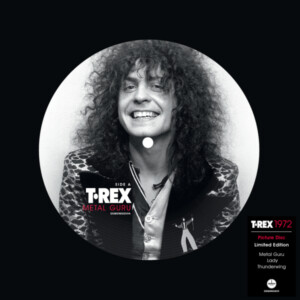T Rex - Metal Guru