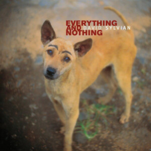 David Sylvian - Everything & Nothing