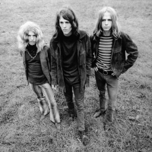 Blue Cheer - Junk (RSD 25)