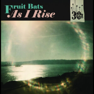 Fruit Bats / Anaïs Mitchell - As I Rise b/w Grace Cathedral Hill (RSD 25)