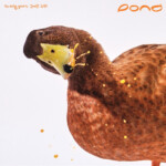 Pond - The Early Years: 2008 – 2010 (RSD 25)