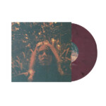 Turnover - Peripheral Vision (10 Year Anniversary Edition)